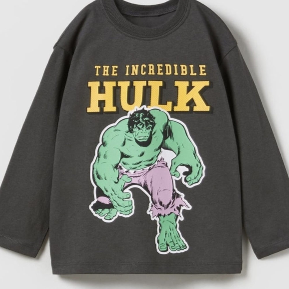Marvel Hulk Kids Dark Gray Long Sleeve Sweatshirt 2T-3T